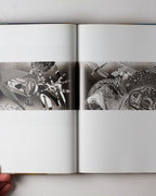 James Rosenquist: Painting As Immersion