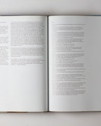 James Rosenquist: Painting As Immersion