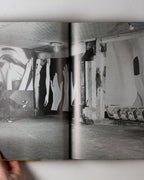 James Rosenquist: Painting As Immersion