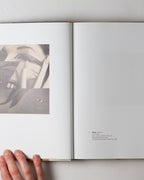 James Rosenquist: Painting As Immersion
