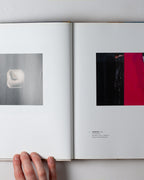 James Rosenquist: Painting As Immersion
