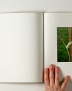 Jeff Wall Photographs