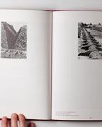 Josef Albers In Mexico