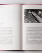 Josef Albers In Mexico