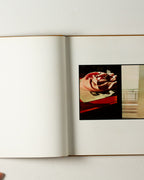 Luke Fowler Two Frame Films 2006-2012