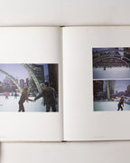 Mark Lewis: Cold Morning