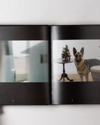 Mikhael Subotzky Wye (scaf Project 30)