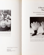 Plastics: Common Objects Classic Designs (with A Collector's Guide)