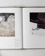 Paul Zweitnig-rotterdam: Painting Sculpture Projects / Malerei Skultur Projekte 1953-2004