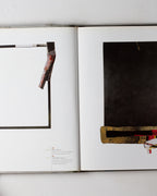 Paul Zweitnig-rotterdam: Painting Sculpture Projects / Malerei Skultur Projekte 1953-2004