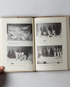Radical People's Theatre / Theater