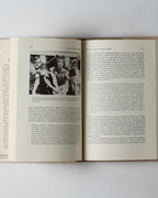 Radical People's Theatre / Theater
