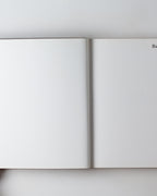 Richard Meier: Architect