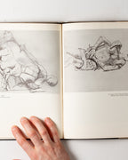 Rico Lebrun Drawings