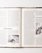 Stil Novo: Design In Der 50er Jahren (50s Style): Phantasie Und Phtanastik
