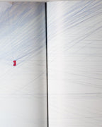 Sol Lewitt: 100 Views