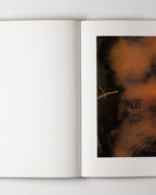 Tapies