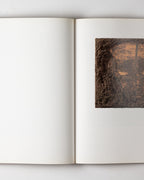 Tapies