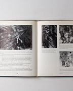 The Apocalyptic Landscapes Of Ludwig Meidner