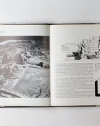 The Architecture Of Arata Isozaki