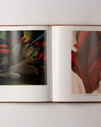 The Art & Life Of Georgia O'keeffe