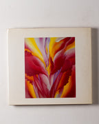 The Art & Life Of Georgia O'keeffe