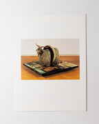 The Portfolio Book Of Pop Art: A Select Choice Of 40 Prints, Specially Bound To Be Readily Detachable For Framing