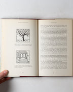 The Riddle And The Knight: In Search Of Sir John Mandeville