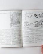 What Is Japanese Architecture? A Survey Of Traditional Architecture