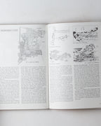 What Is Japanese Architecture? A Survey Of Traditional Architecture